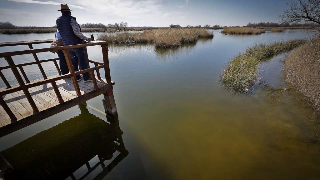 ob.imagen.Descripcion