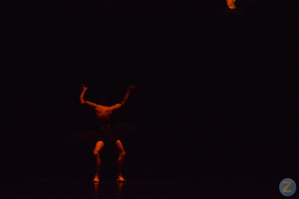 ob.imagen.Descripcion