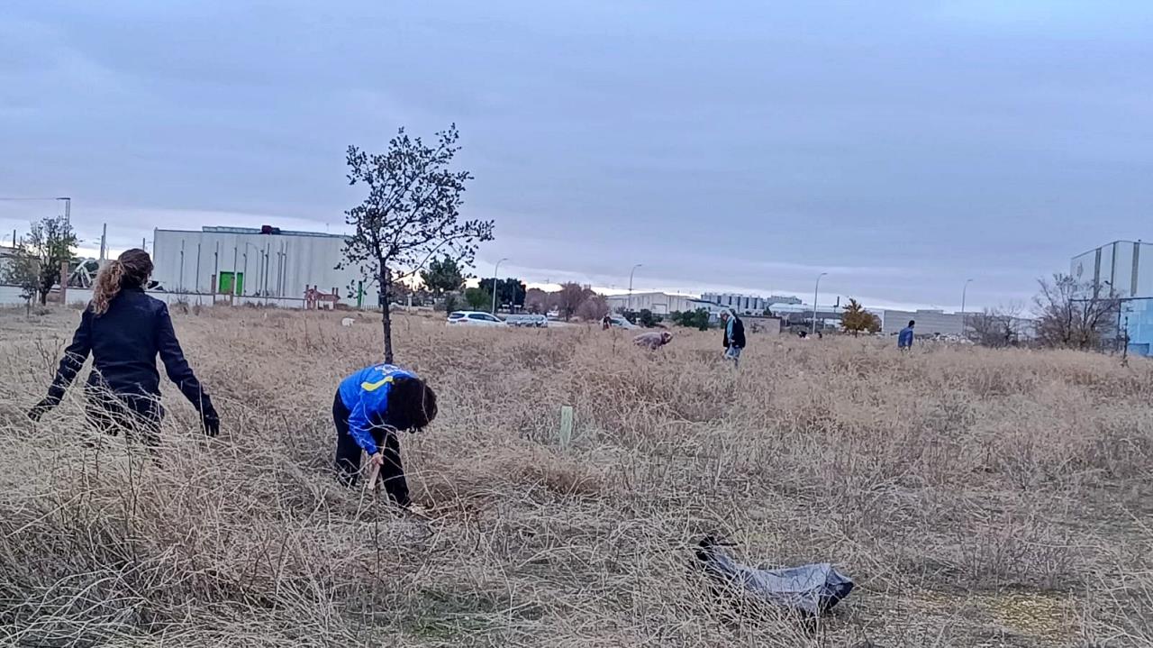 ob.imagen.Descripcion