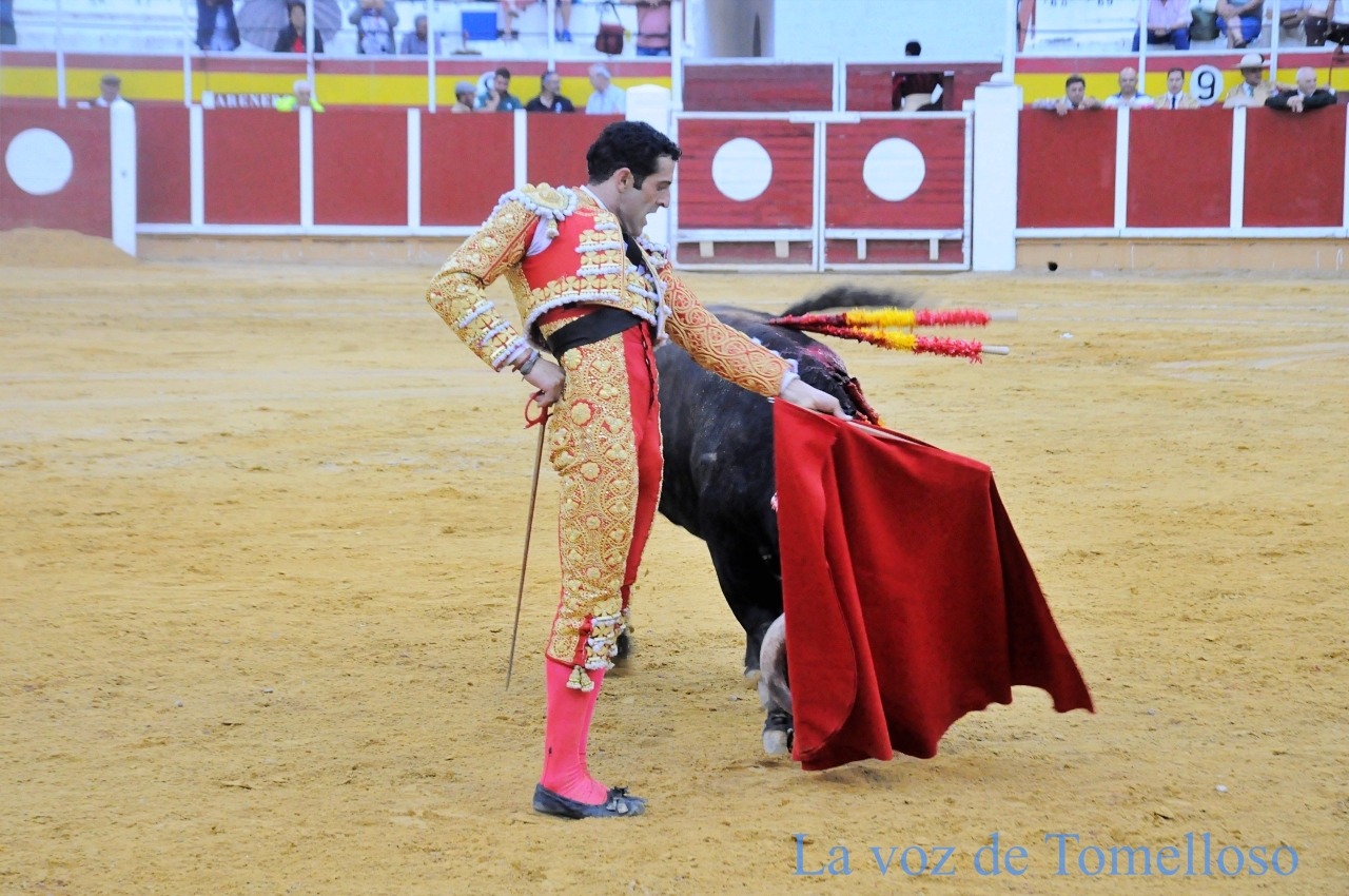 ob.imagen.Descripcion