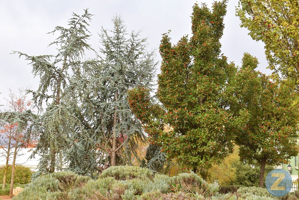 ob.imagen.Descripcion