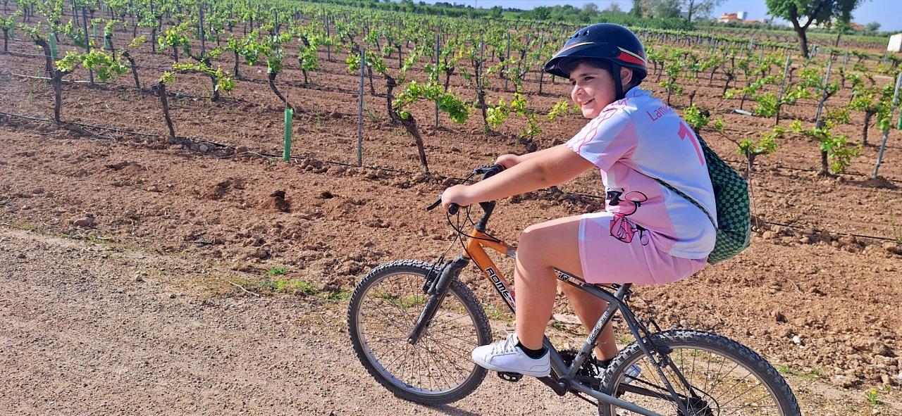 ob.imagen.Descripcion