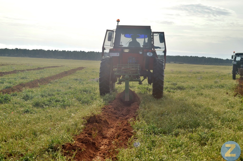 ob.imagen.Descripcion