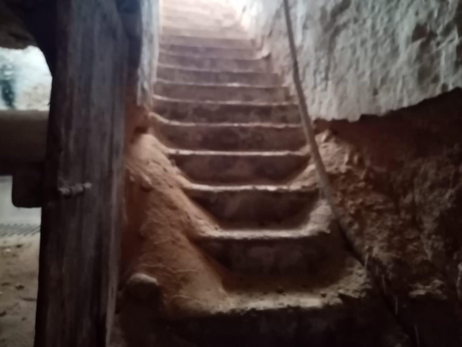 ob.imagen.Descripcion