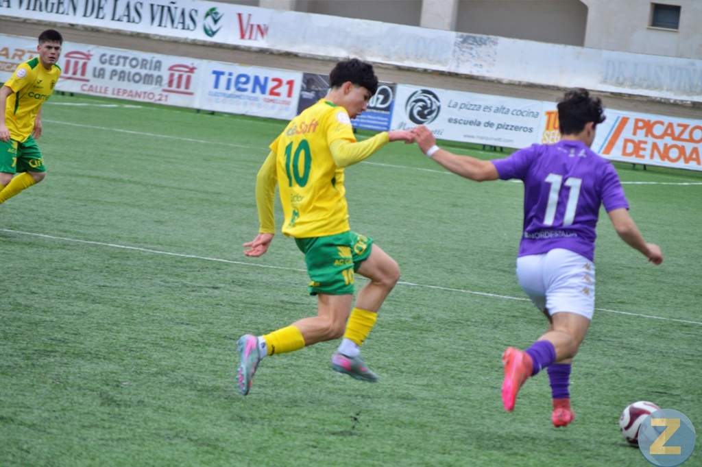 ob.imagen.Descripcion