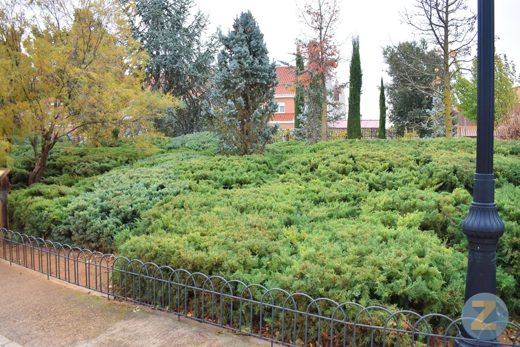 ob.imagen.Descripcion