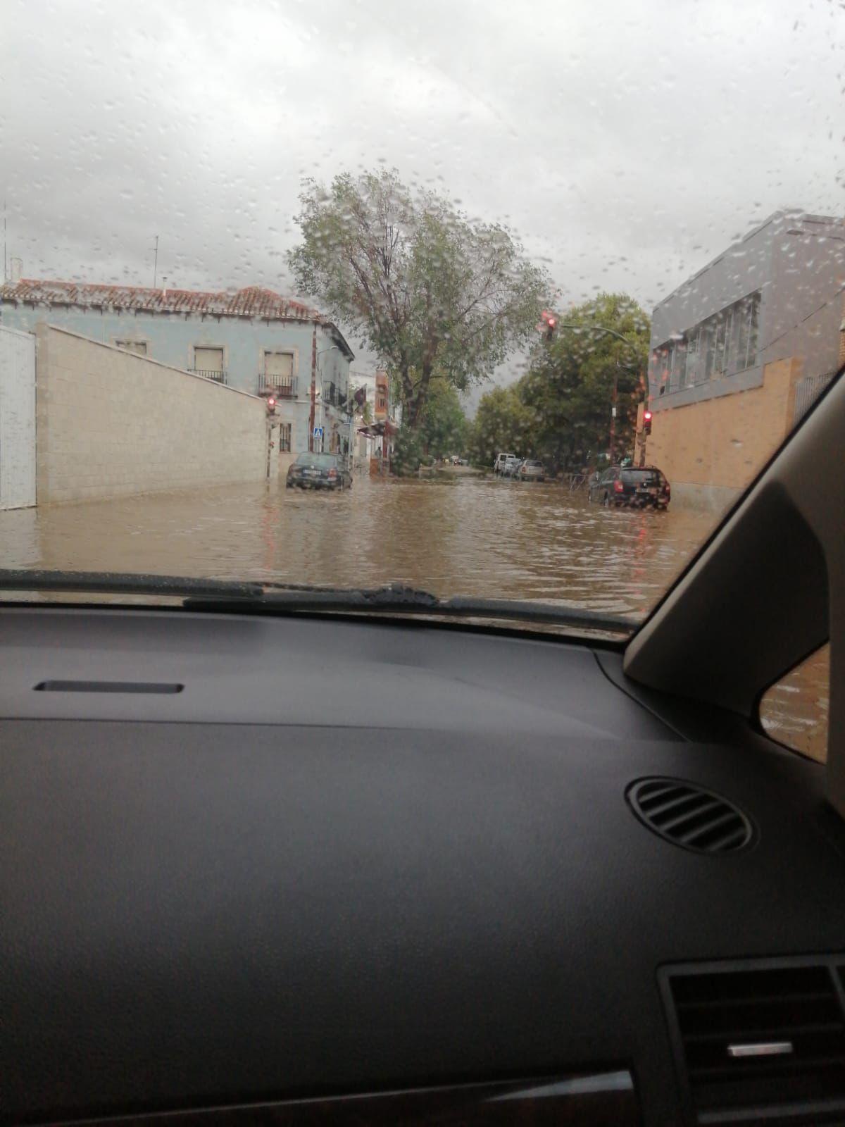 ob.imagen.Descripcion
