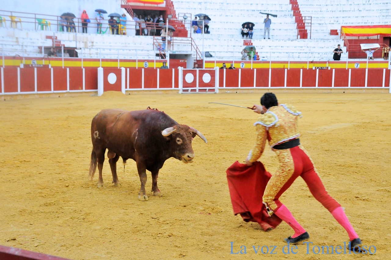 ob.imagen.Descripcion