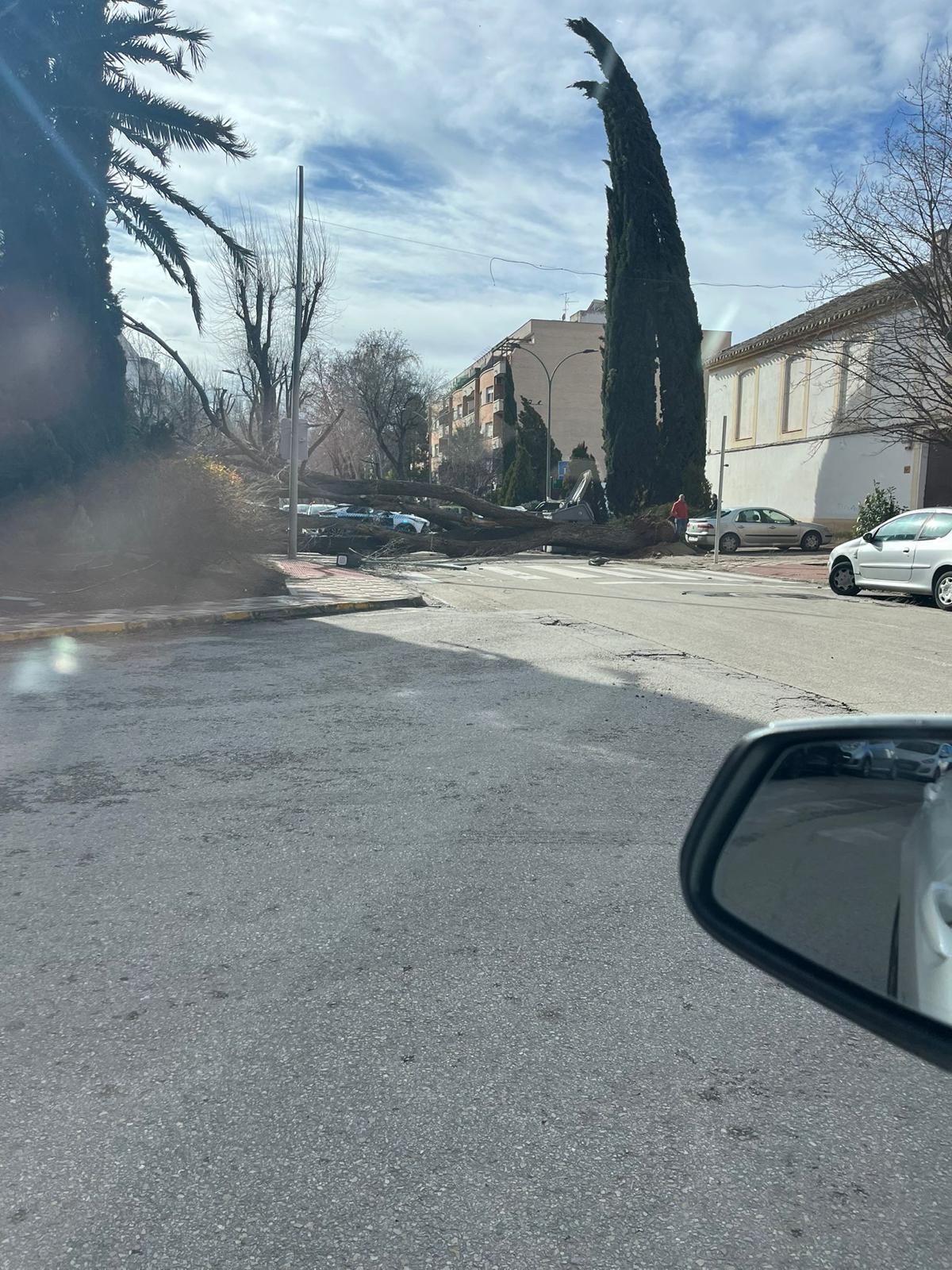 ob.imagen.Descripcion