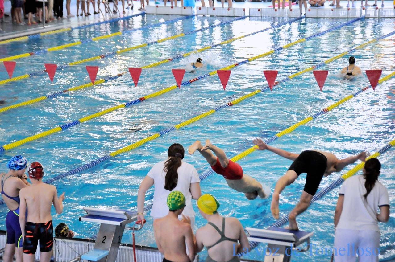 ob.imagen.Descripcion