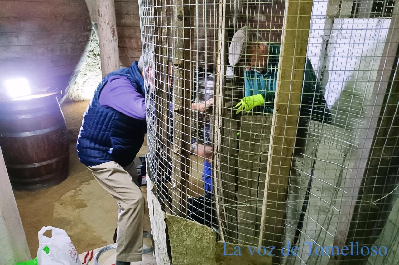 ob.imagen.Descripcion