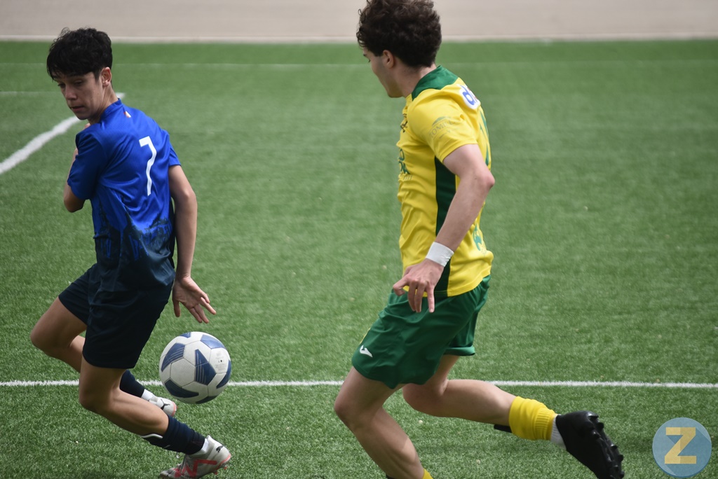 ob.imagen.Descripcion