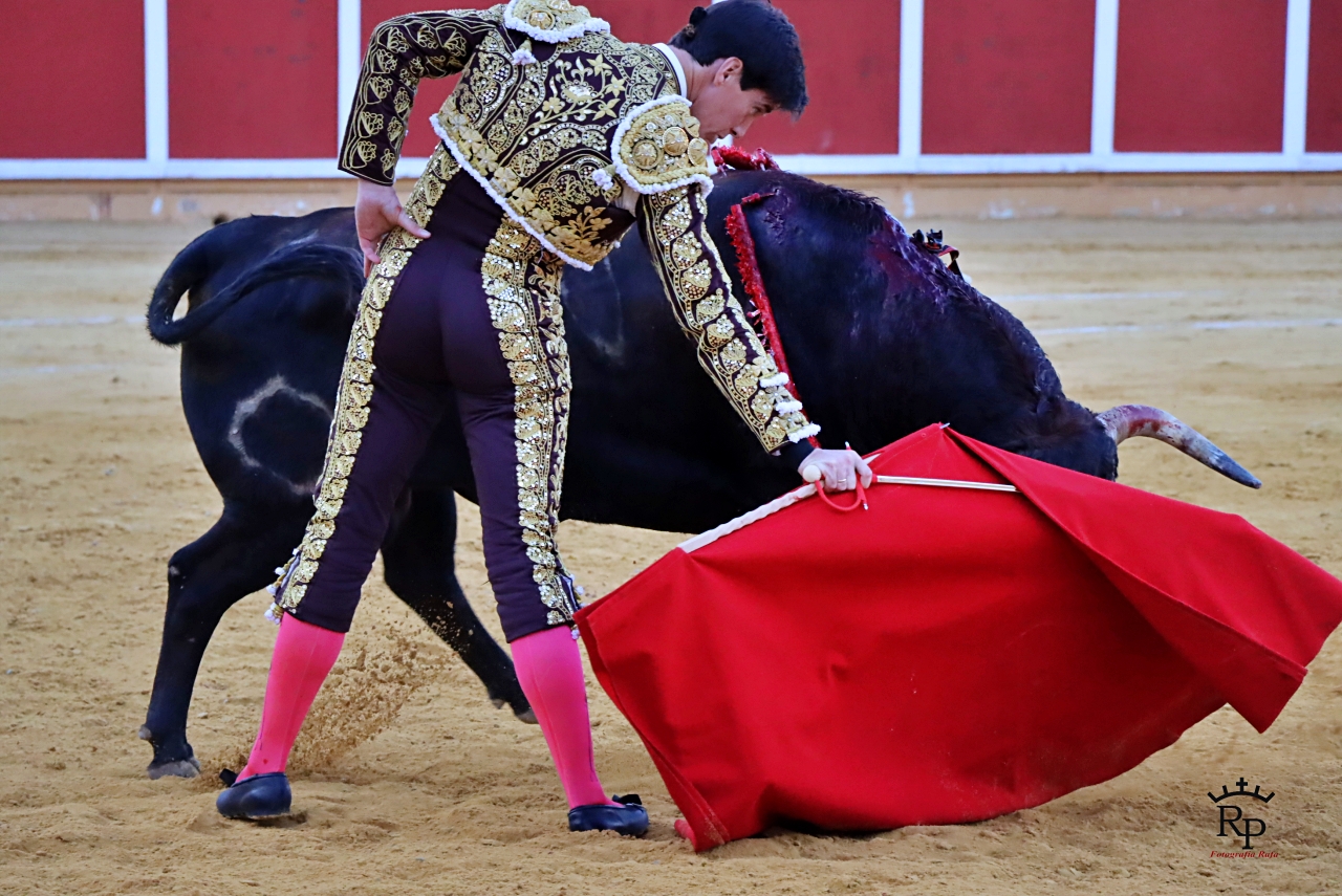 ob.imagen.Descripcion