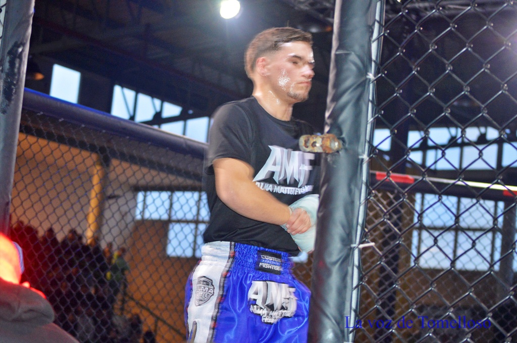 ob.imagen.Descripcion