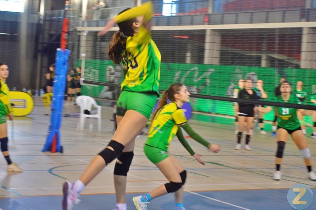 ob.imagen.Descripcion