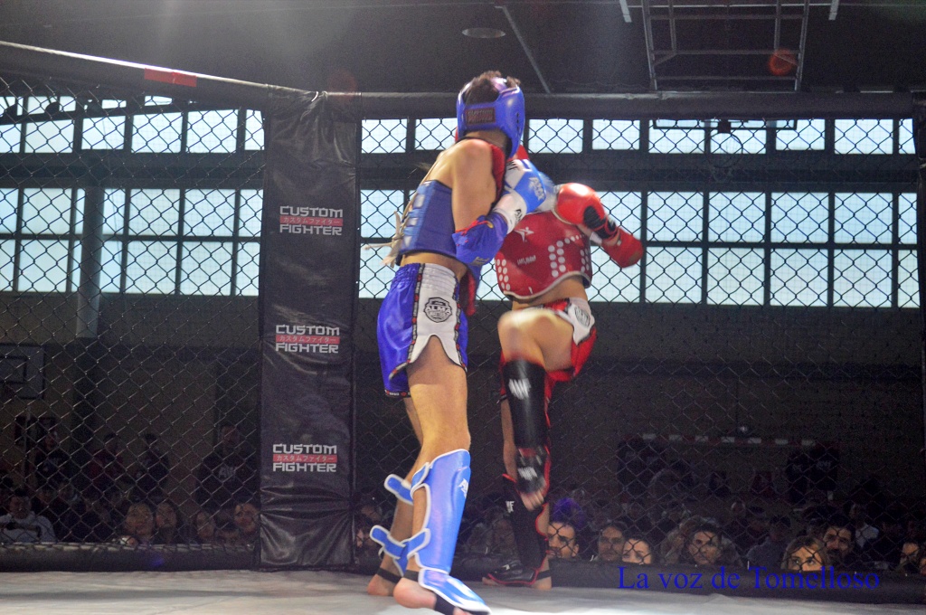 ob.imagen.Descripcion