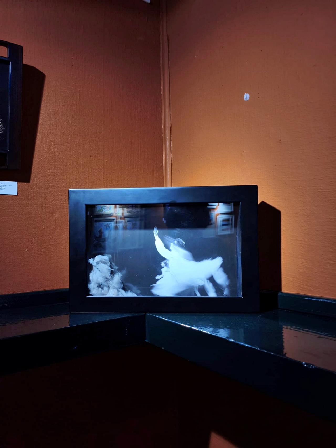 ob.imagen.Descripcion