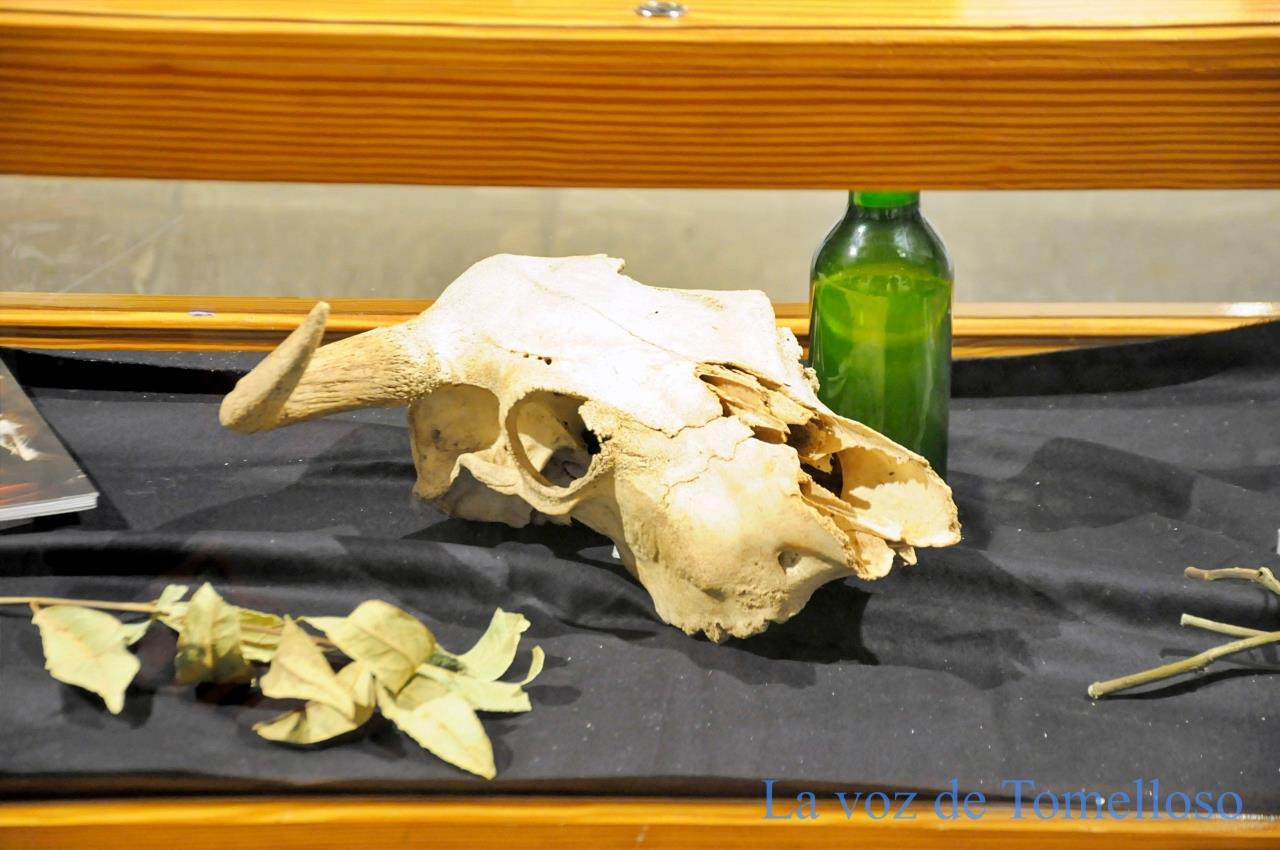 ob.imagen.Descripcion