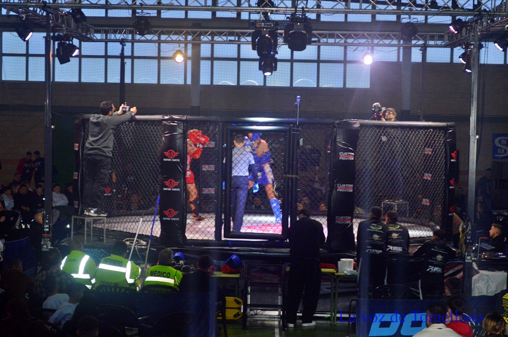 ob.imagen.Descripcion