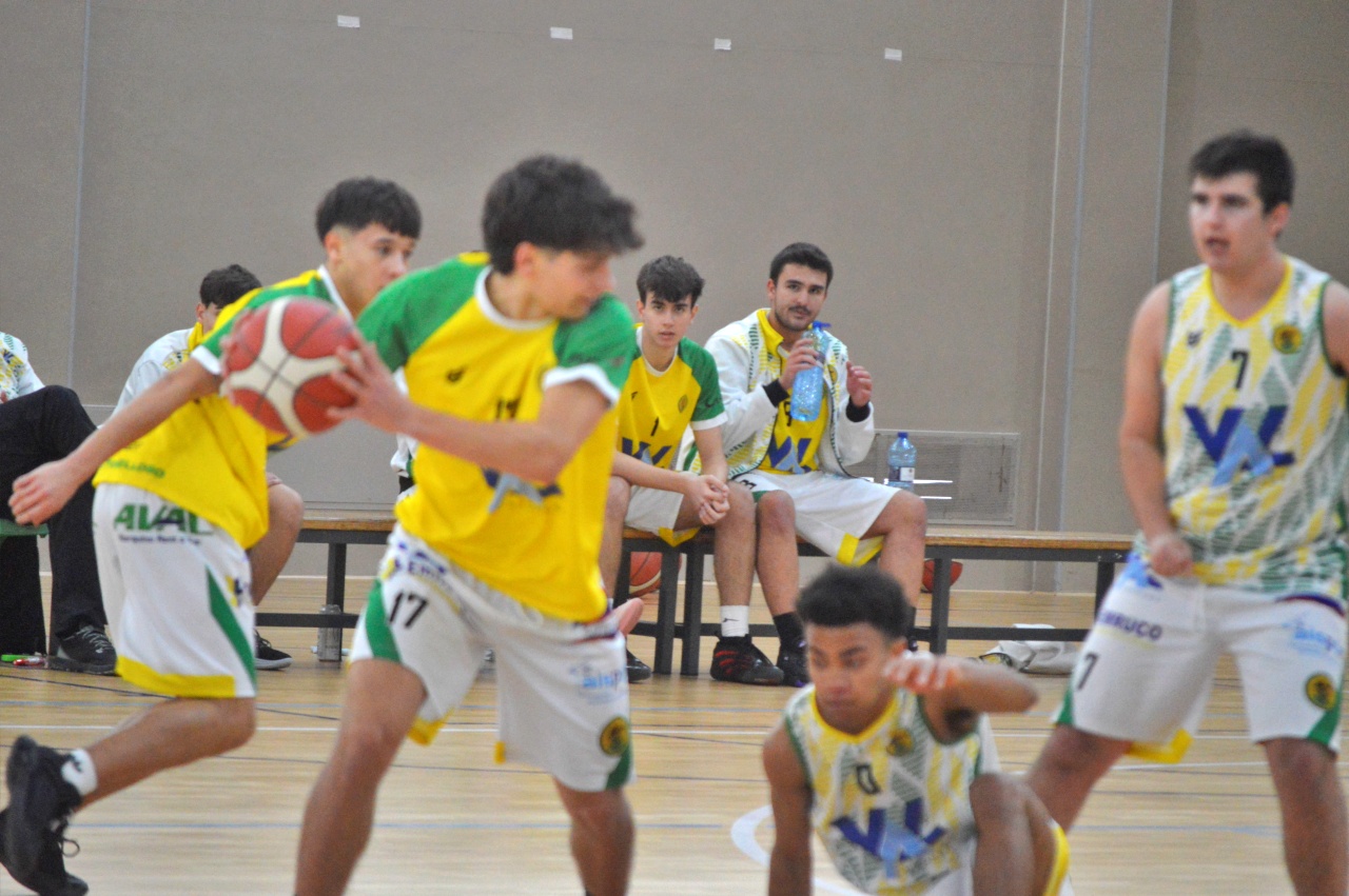 ob.imagen.Descripcion