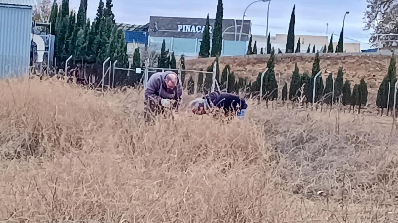 ob.imagen.Descripcion