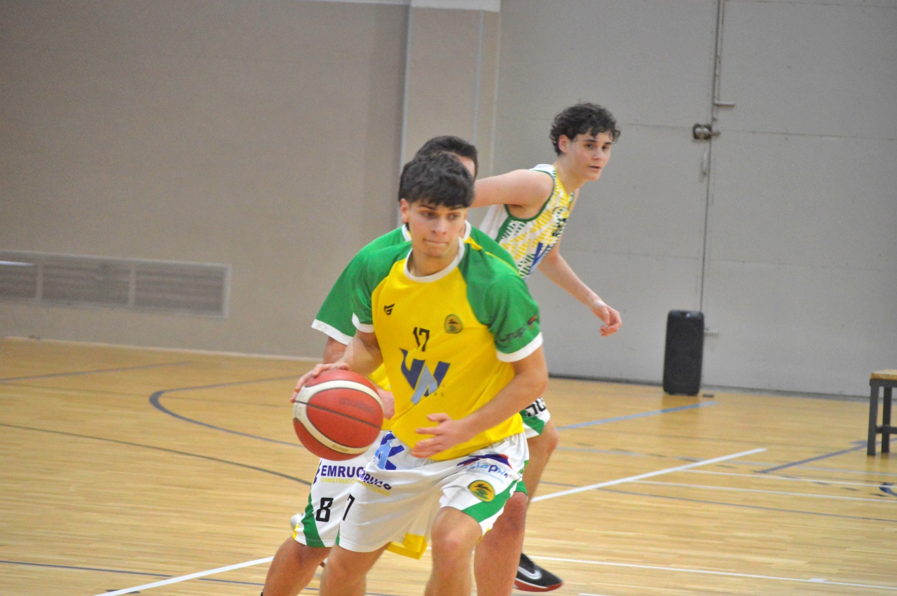 ob.imagen.Descripcion