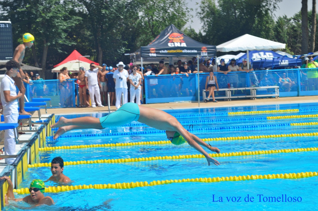 ob.imagen.Descripcion