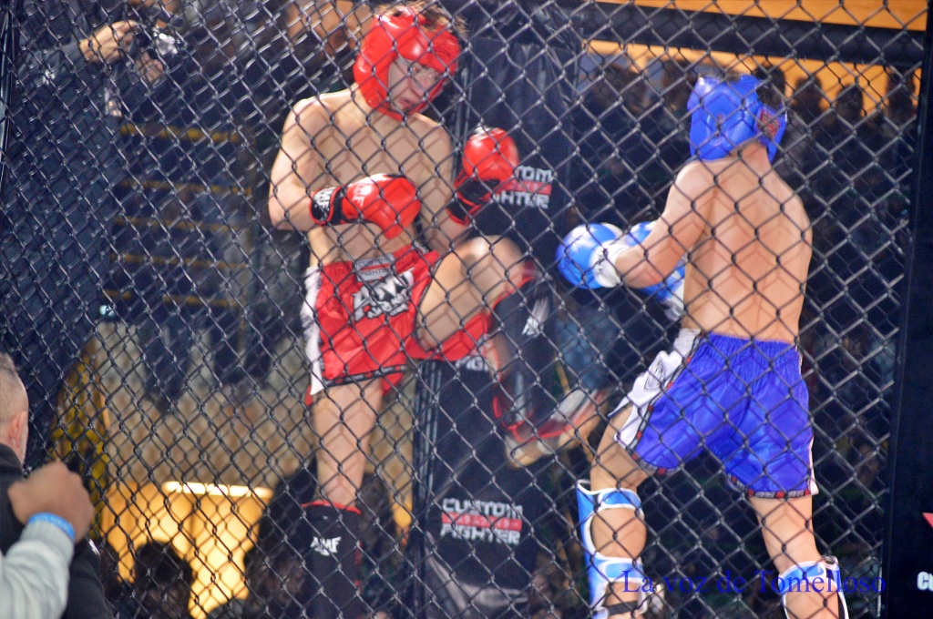 ob.imagen.Descripcion