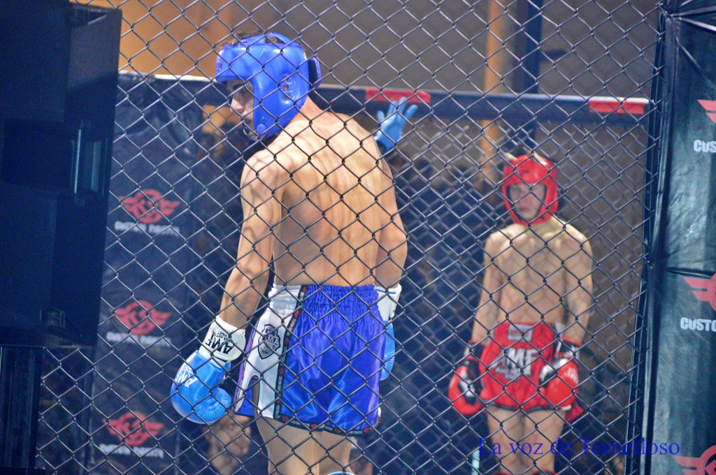 ob.imagen.Descripcion