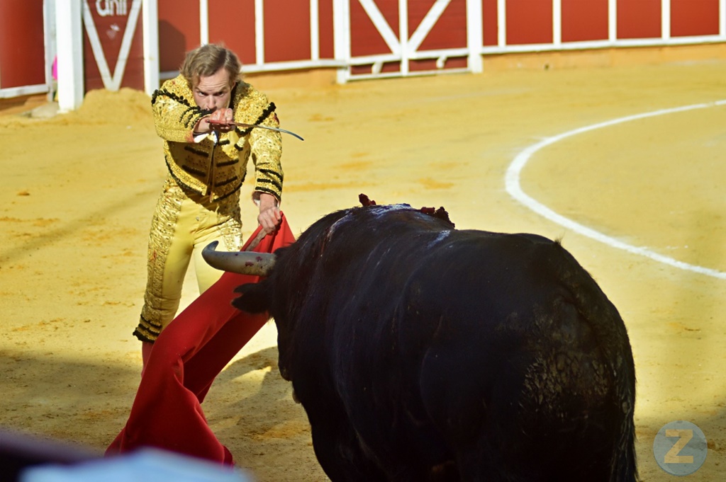 ob.imagen.Descripcion