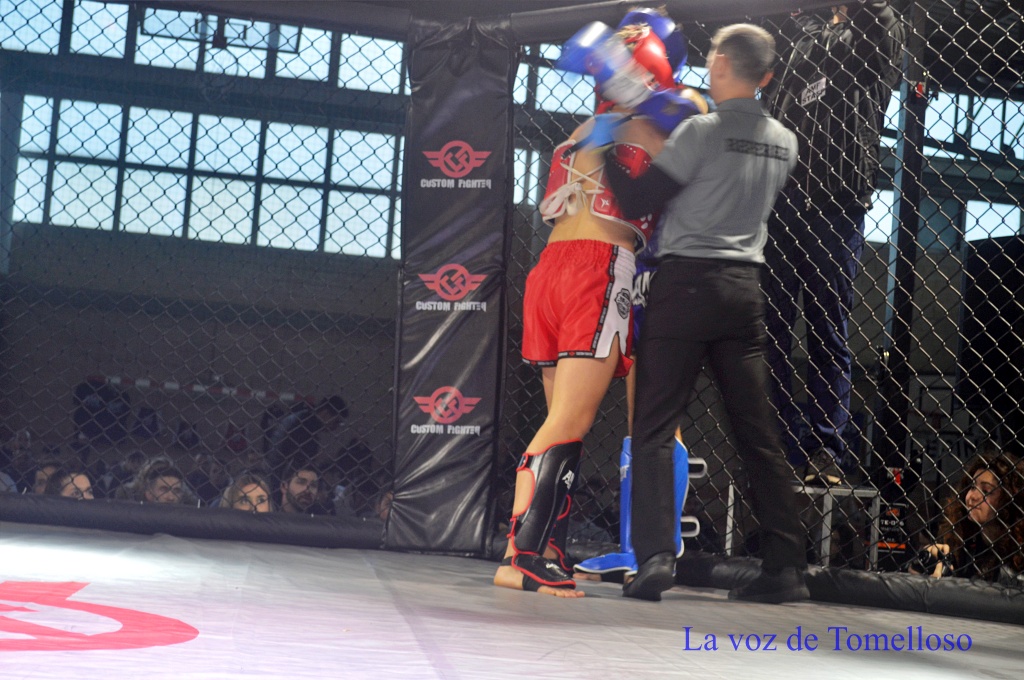 ob.imagen.Descripcion