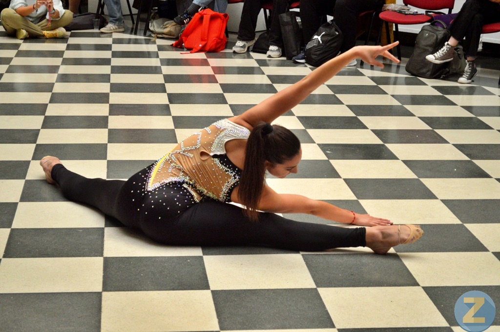 ob.imagen.Descripcion