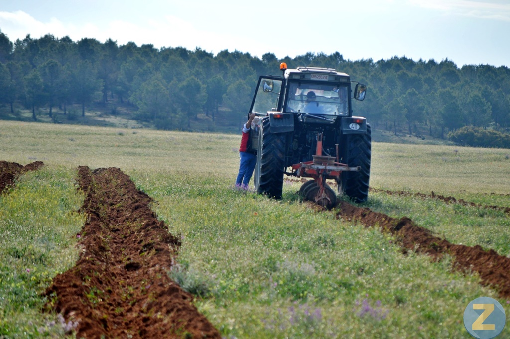 ob.imagen.Descripcion