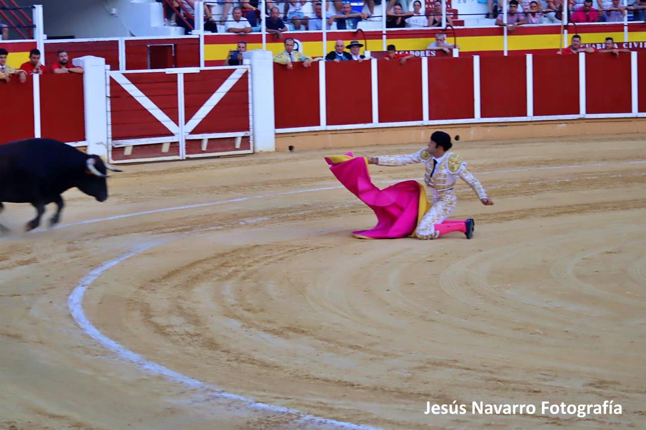 ob.imagen.Descripcion
