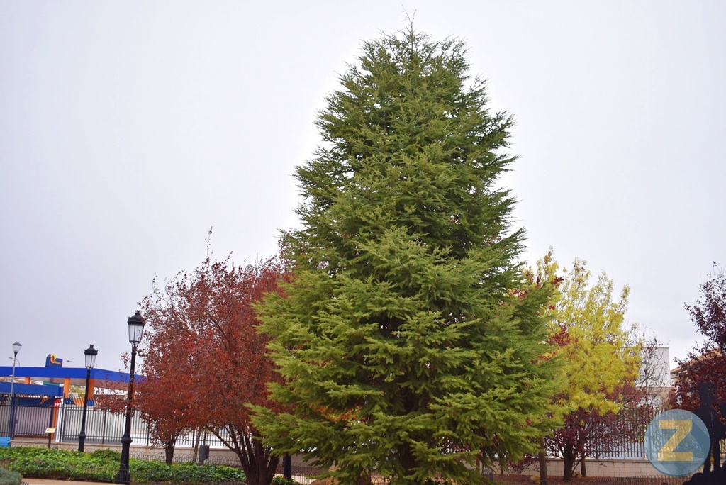 ob.imagen.Descripcion