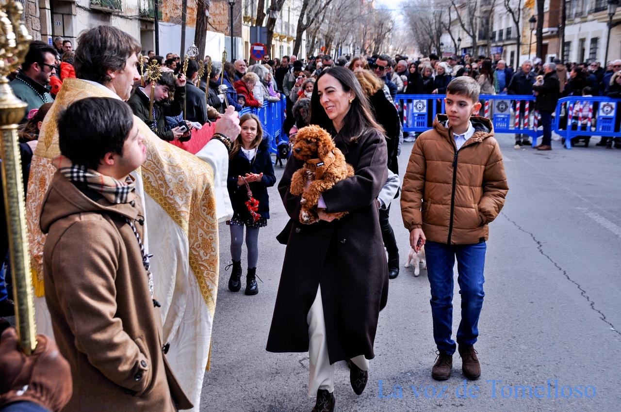 ob.imagen.Descripcion