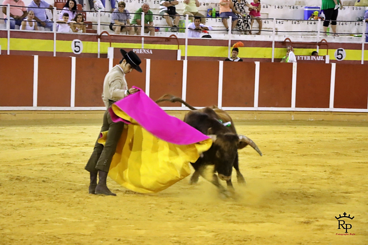 ob.imagen.Descripcion