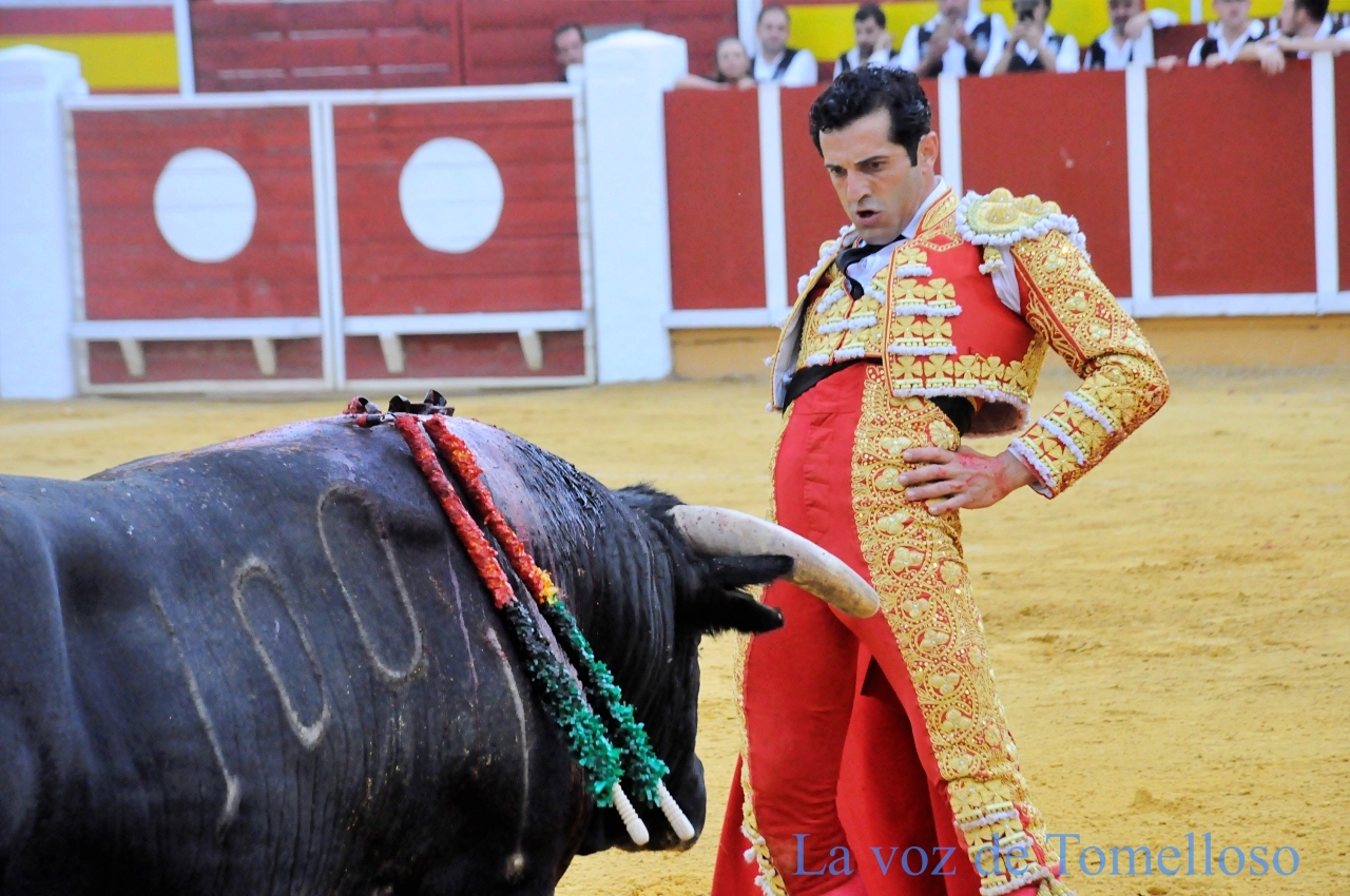 ob.imagen.Descripcion