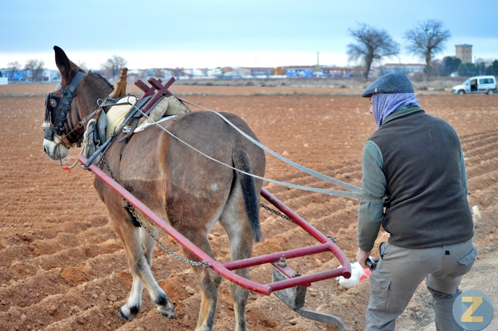 ob.imagen.Descripcion