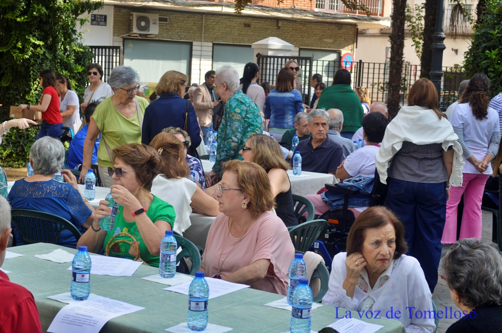 ob.imagen.Descripcion