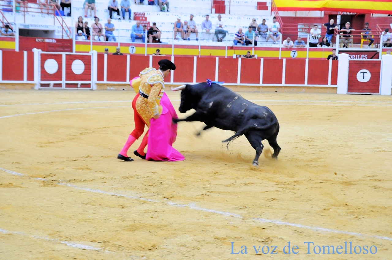 ob.imagen.Descripcion