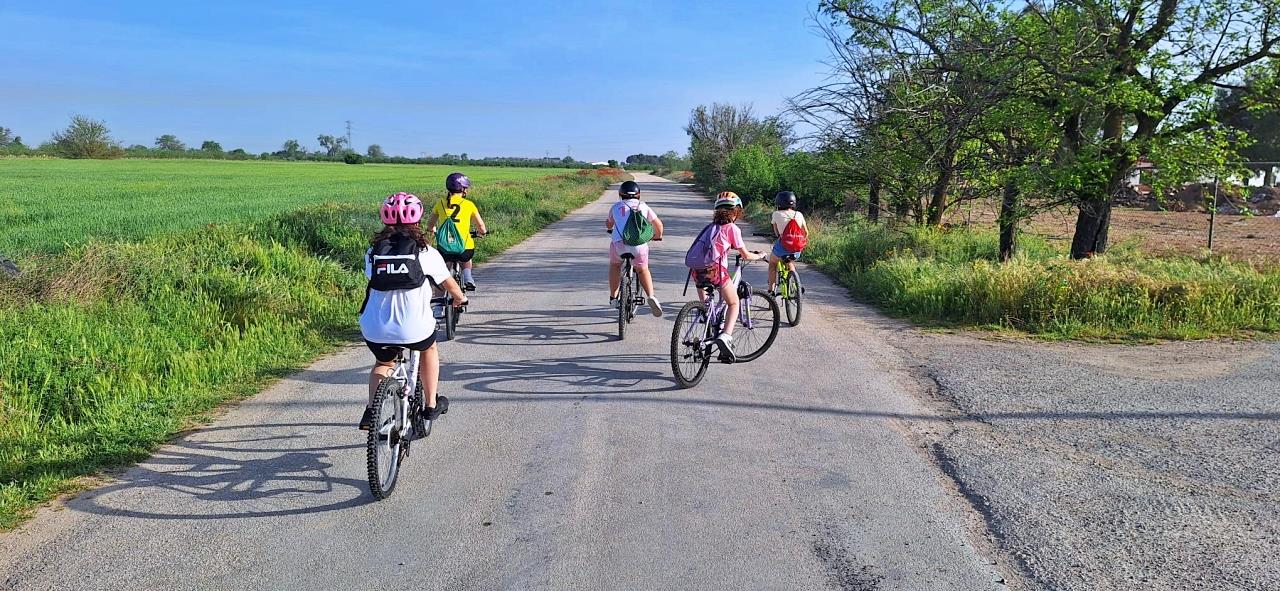 ob.imagen.Descripcion