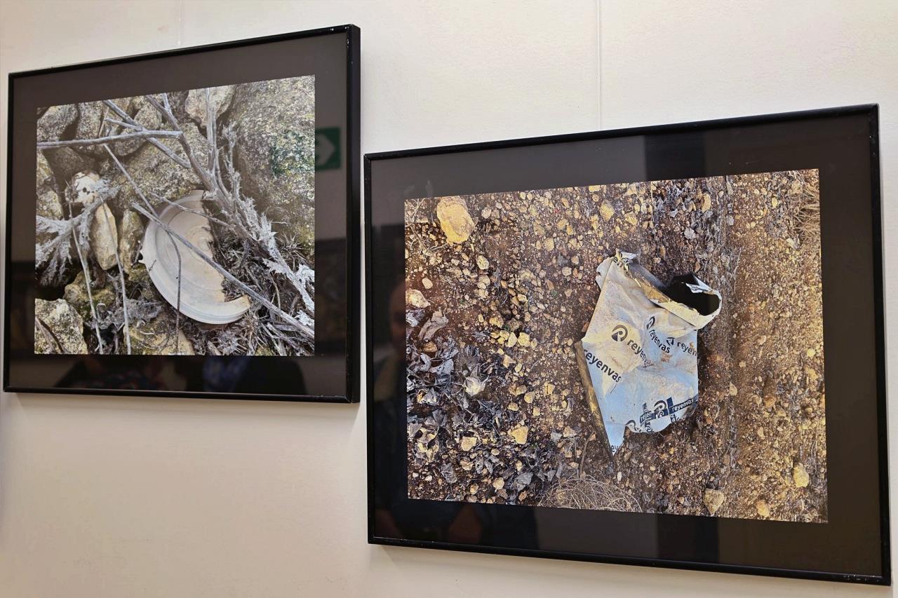 ob.imagen.Descripcion