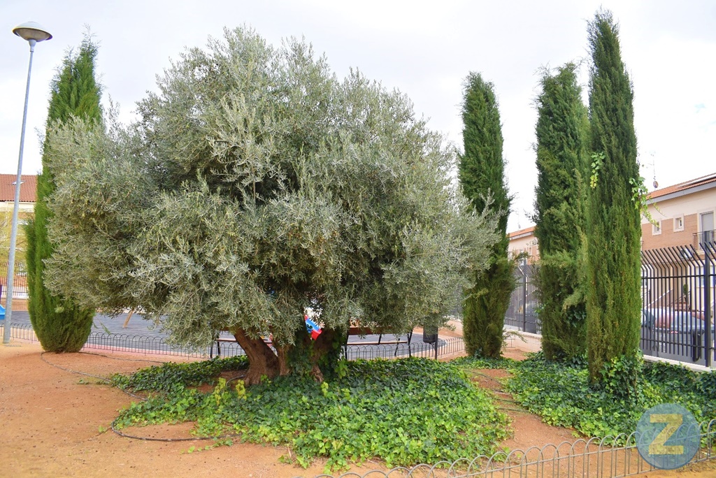 ob.imagen.Descripcion