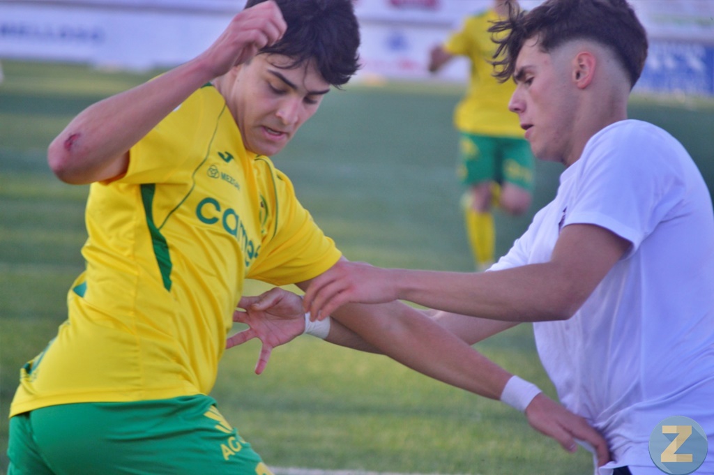 ob.imagen.Descripcion