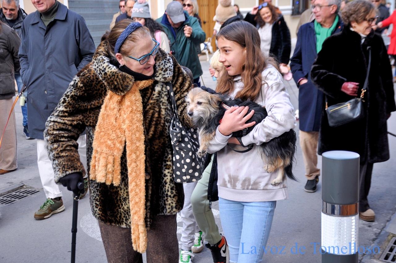 ob.imagen.Descripcion