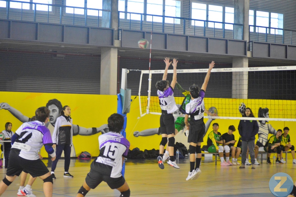 ob.imagen.Descripcion