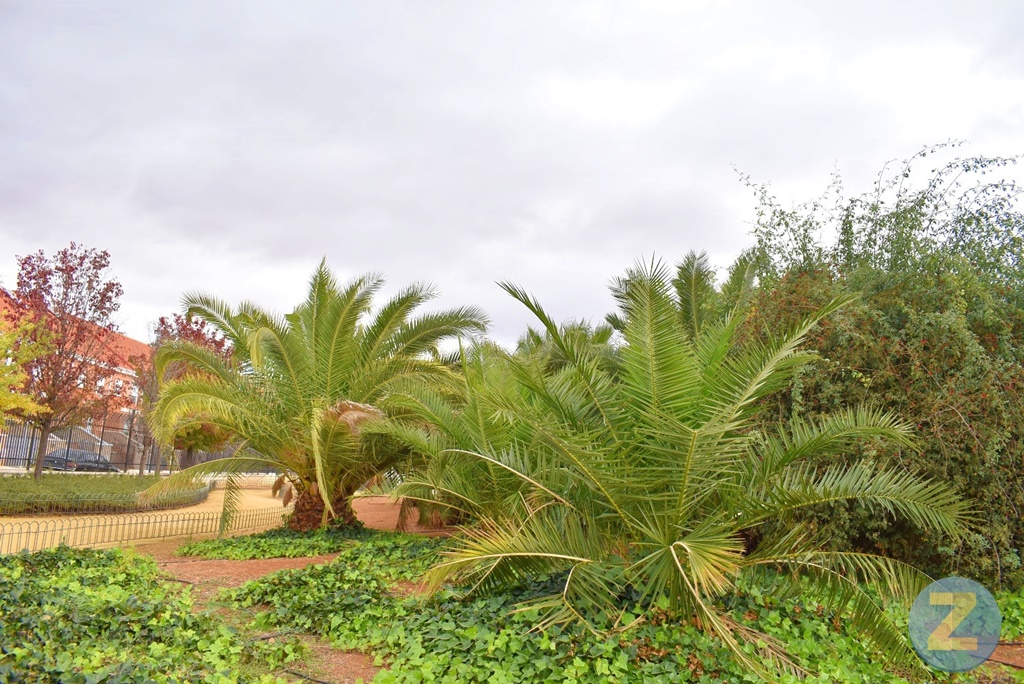 ob.imagen.Descripcion