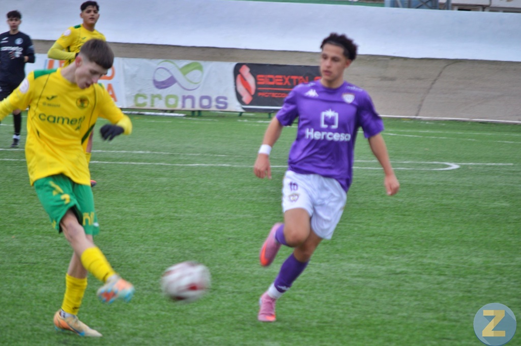 ob.imagen.Descripcion