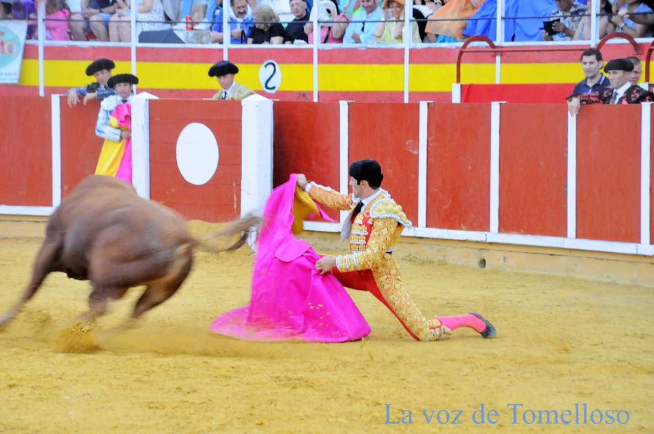 ob.imagen.Descripcion
